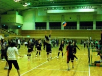 IMGP2729.jpg