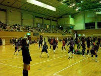 IMGP2734.jpg