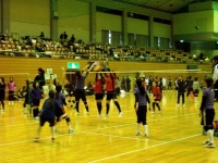 IMGP2738.jpg