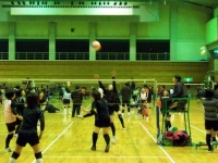 IMGP2750.jpg