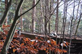121022_001.jpg