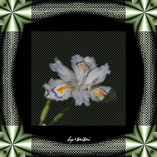 2013513j