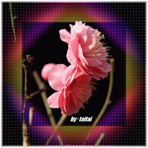 20140205j