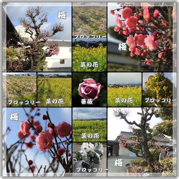 20140205j