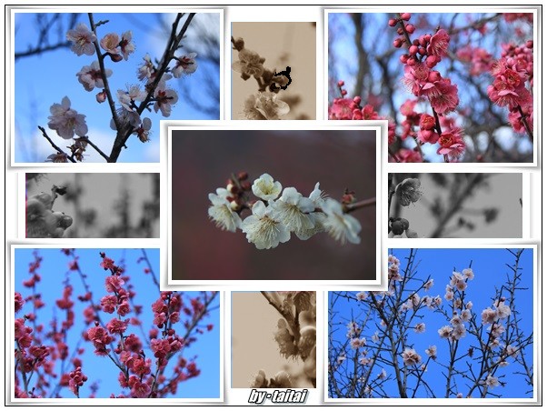 20140211j