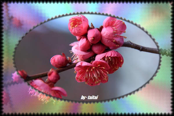 20140211j
