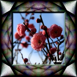20140209j