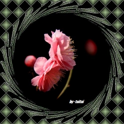 20140209j