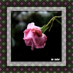 20140209j