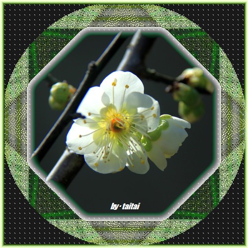20140211j