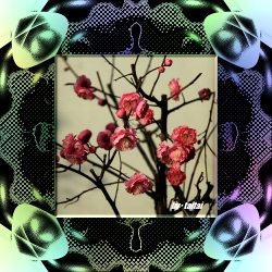 20140209j