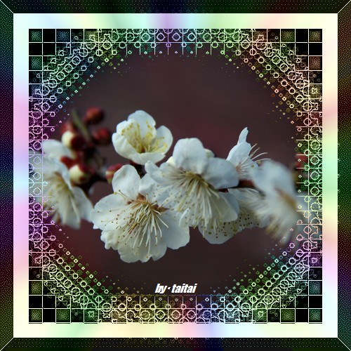 20140211j