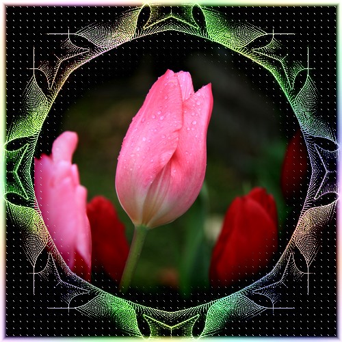 20140207j