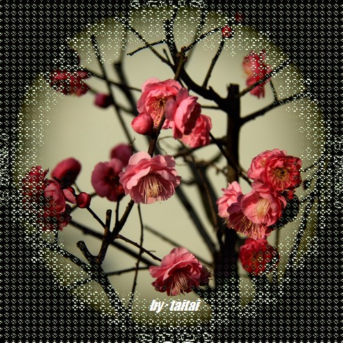 20140205j