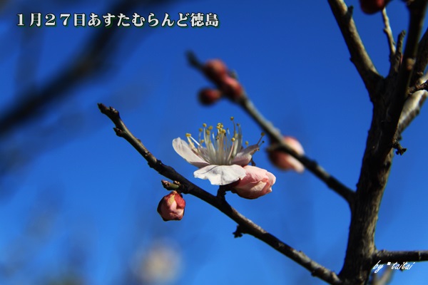 20140127k