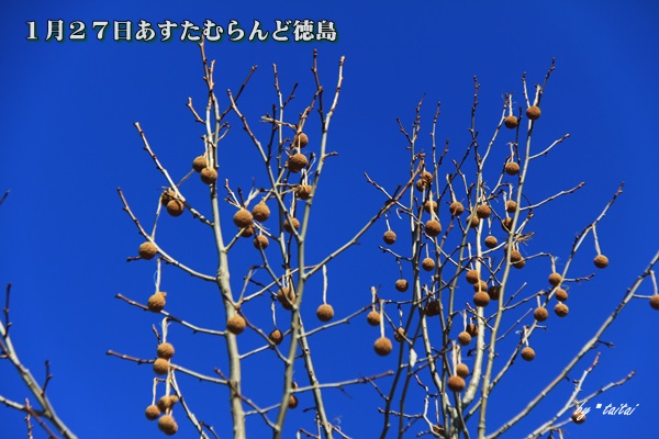 20140127k