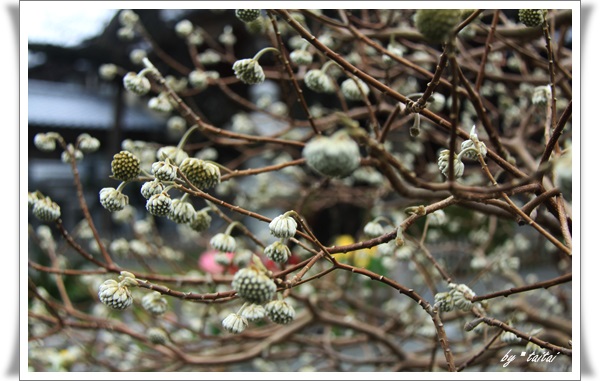 20140207j