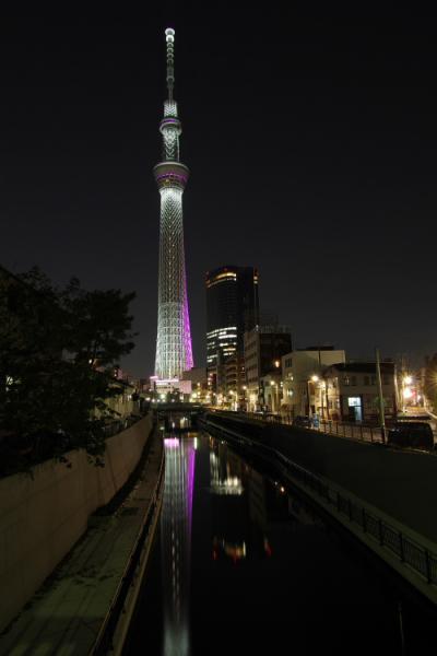 冬雅.