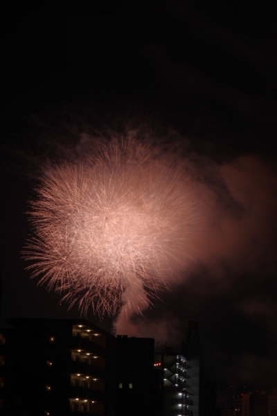 2015隅田川花火31
