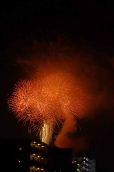 2015隅田川花火29