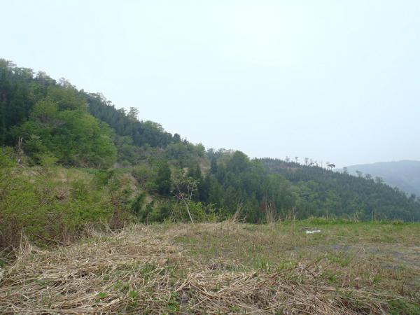 050911.jpg