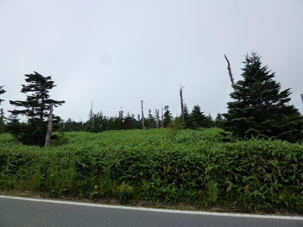 081538.jpg