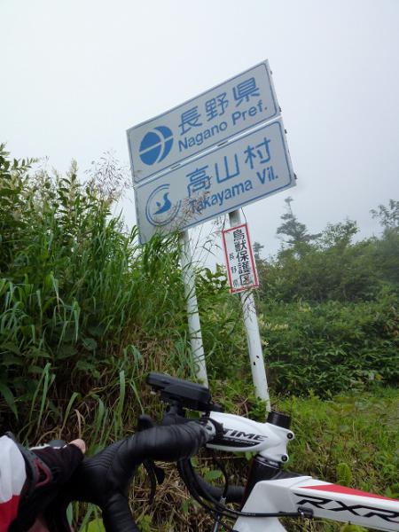 081552.jpg