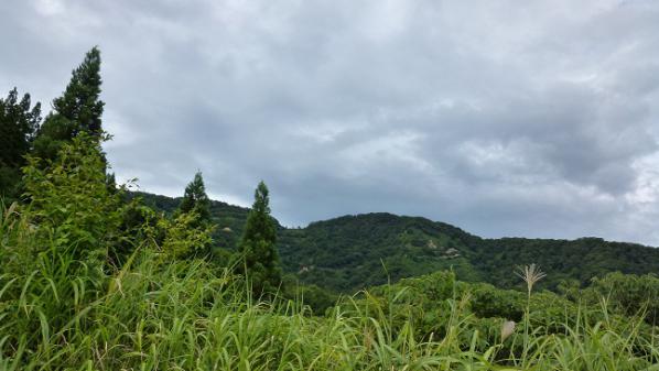 082904.jpg