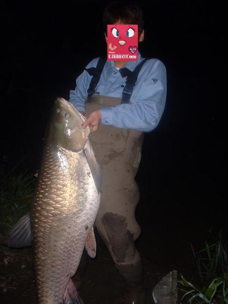 ソウギ~~