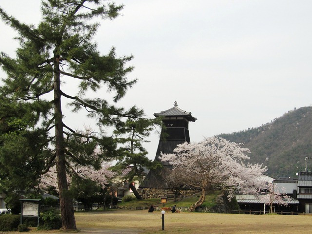 桜の出石 辰鼓楼