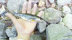 2011052009250001.jpg