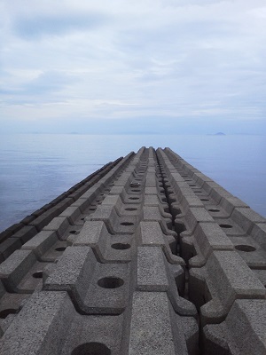 NEC_0450.jpg