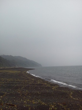 NEC_0487.jpg