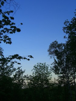 20120612masakosora.jpg
