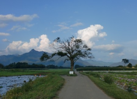 20120906nobeyamaemerarudo.jpg