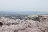 朝日山公園