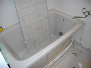 IMGP0296.jpg
