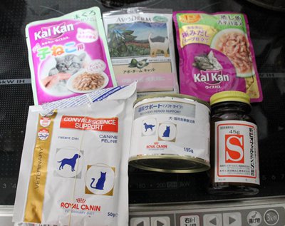 子猫の食事の材料
