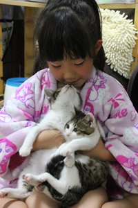 案外好きらしい