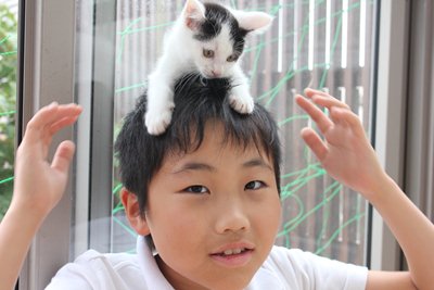 こんなにナレナレ~