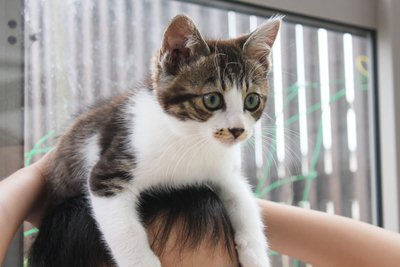 みっちぃ