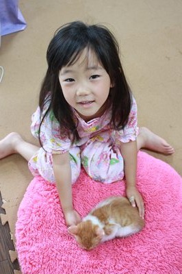 茶次郎かわいい~ 子猫里親募集中☆石川富山福井