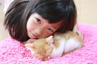 茶次郎かわいい~ 子猫里親募集中☆石川富山福井