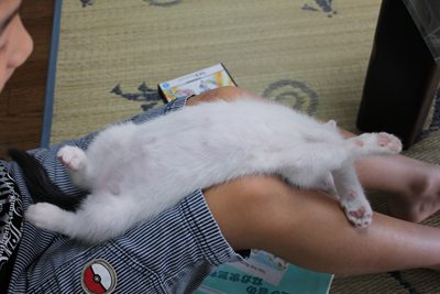 うっしーのいにゃばうあー