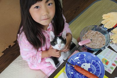 猫シンクロ(子猫里親募集中☆石川富山福井)