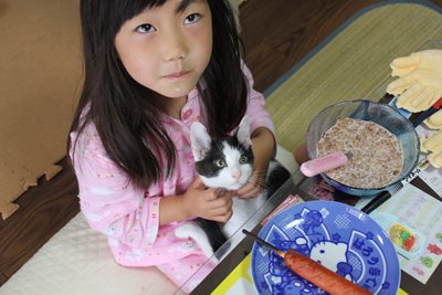 猫シンクロ(子猫里親募集中☆石川富山福井)