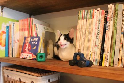 置き物に擬態するリュウツー