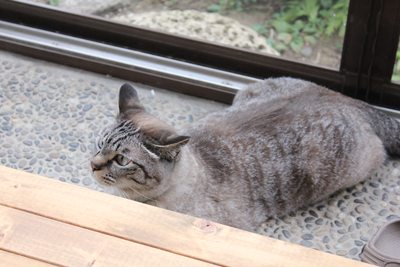 なんで俺の秘密基地に勝手に入るんだー