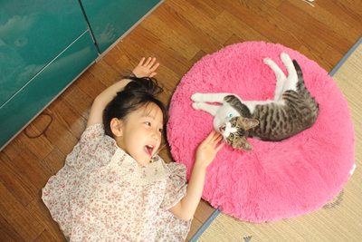 たまことみっちぃ(子猫里親募集中☆石川富山福井)
