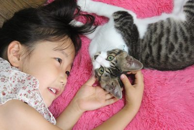 たまことみっちぃ(子猫里親募集中☆石川富山福井)